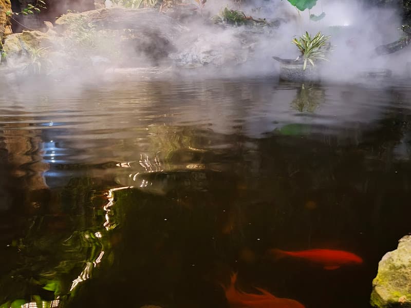 Hình ảnh Coffee Nghĩa Hiệp - 3