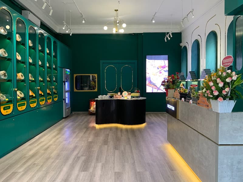 Hình ảnh Yến Sào - Bảo Sơn True Nest - 4