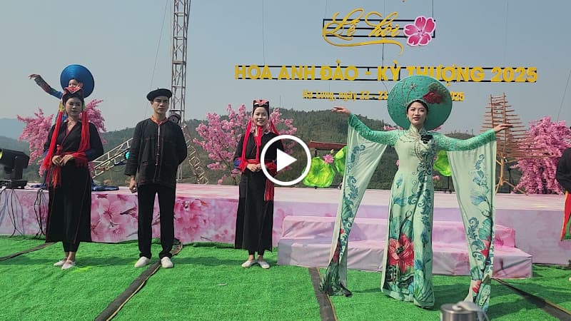 Hình ảnh CÂY XANH QUẢNG NINH - 2