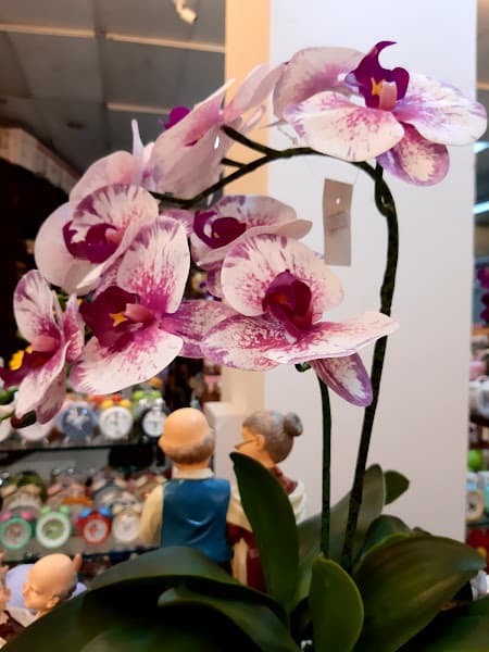 Hình ảnh Siêu thị Bách hóa XANH Thành Thái - 2