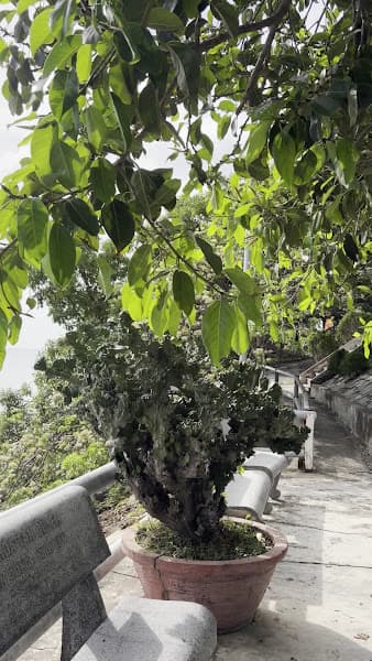 Hình ảnh Khu di tích lịch sử Quốc Gia Tàu Không Số - 3