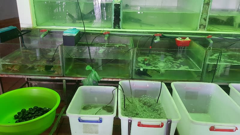 Chợ Hải Sản Cường Cá