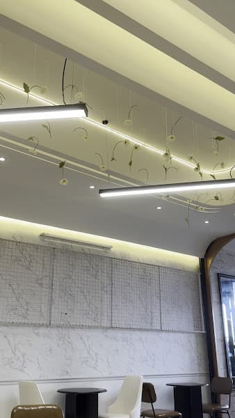 Hình ảnh Lona Coffee House - 2