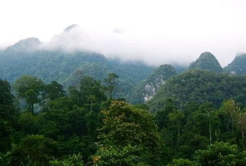 Hình ảnh Vườn Quốc gia Xuân Sơn - 2