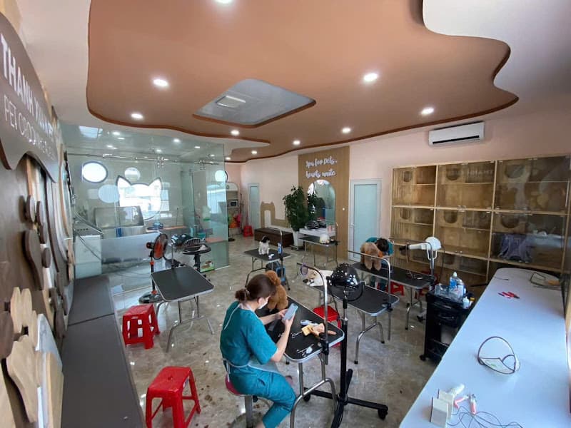 Hình ảnh THANH XUAN PET HOSPITAL - Bệnh viện thú cưng THANH XUÂN - 4