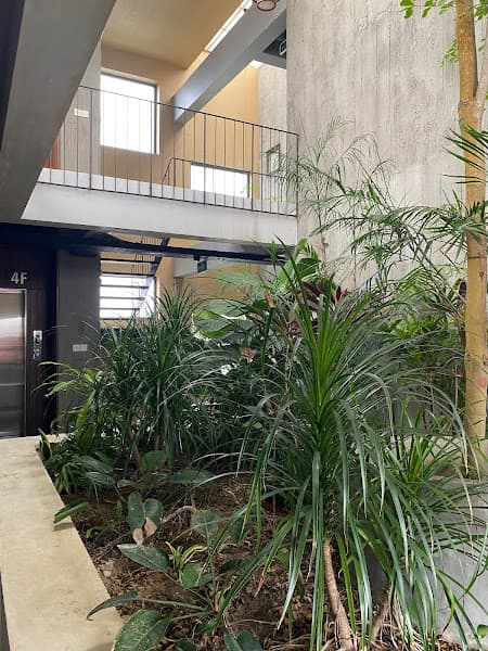 Hình ảnh Cháo canh Duy Liễu - 10