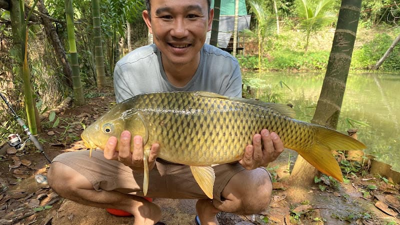 Hình ảnh Câu cá thư giãn - 4