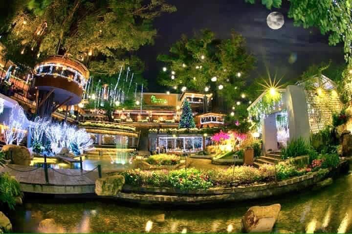 Hình ảnh Du Miên Garden Cafe - 5