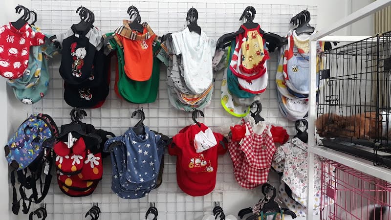 Hình ảnh Lu Family - 2