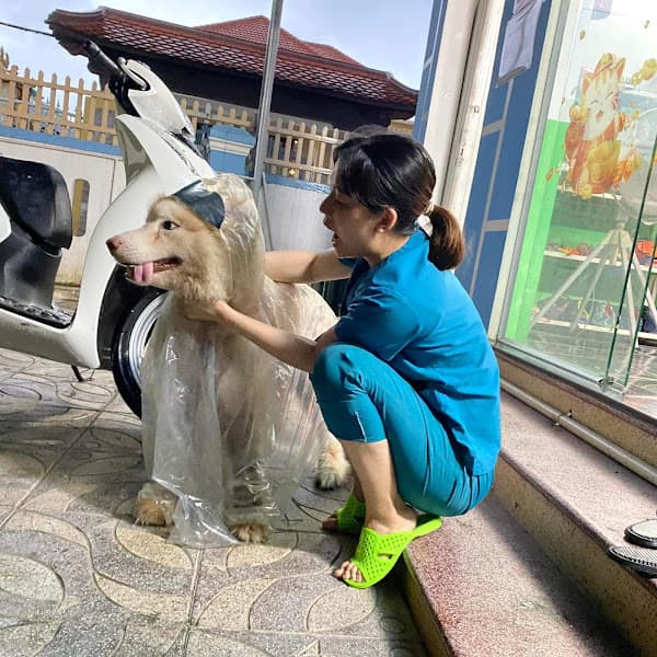 Bệnh viện thú y WinPet Huế