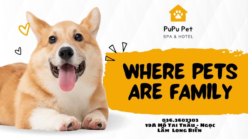 Hình ảnh Pupu Pet Spa & Hotel - 5