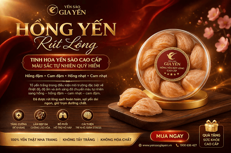 Hình ảnh Yến Sào Hải Phòng 226 Tô Hiệu - 5