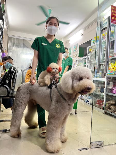 Hình ảnh Bệnh viện thú y Mỹ Đình - 3