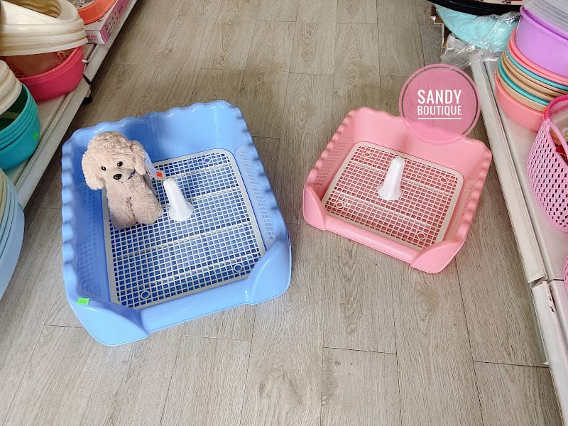 Hình ảnh Sandy Petshop Hue - 2
