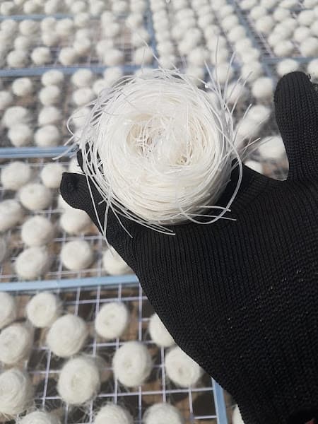 Ảnh bìa XƯỞNG SẢN XUẤT PHỞ KHÔ GIA LAI - BÚN TƯƠI GIA LAI - GIAO HÀNG TẬN NƠI TOÀN QUỐC