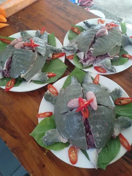 Hình ảnh Ẩm Thực Hương Tràm - 3
