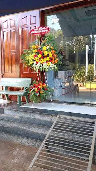 Hình ảnh Yến Sào Hoàng Việt-Long Khánh - 2