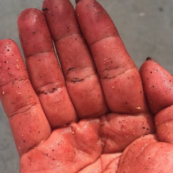 Hình ảnh Cửa hàng chay hoàng thuy - 3