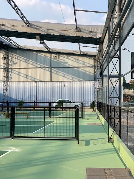 Hình ảnh PICKLEBALL - ĐẬU ĐẬU SPORTS - 2