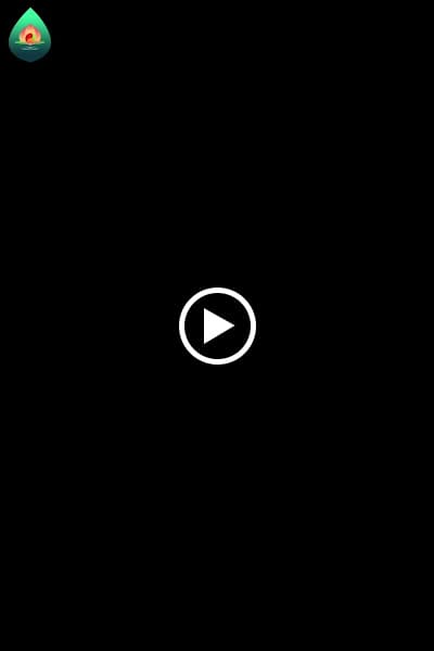 Hình ảnh KP Yoga & Indian Vegetarian Restaurant (Bếp chay Ấn Việt KP) - 3