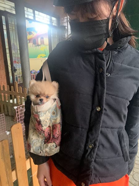 Hình ảnh DT PET thú cưng - 5