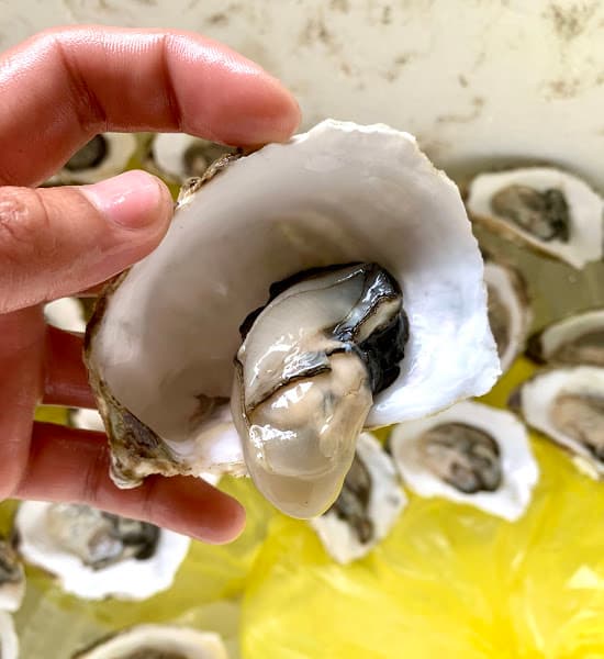 Hình ảnh QUÁN 76 VÕ XÁ, BẾN HẢI, QUẢNG TRỊ - 4