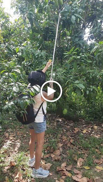 Hình ảnh Cù Lao Mây - Điểm Du Lịch Quang Khải - 2