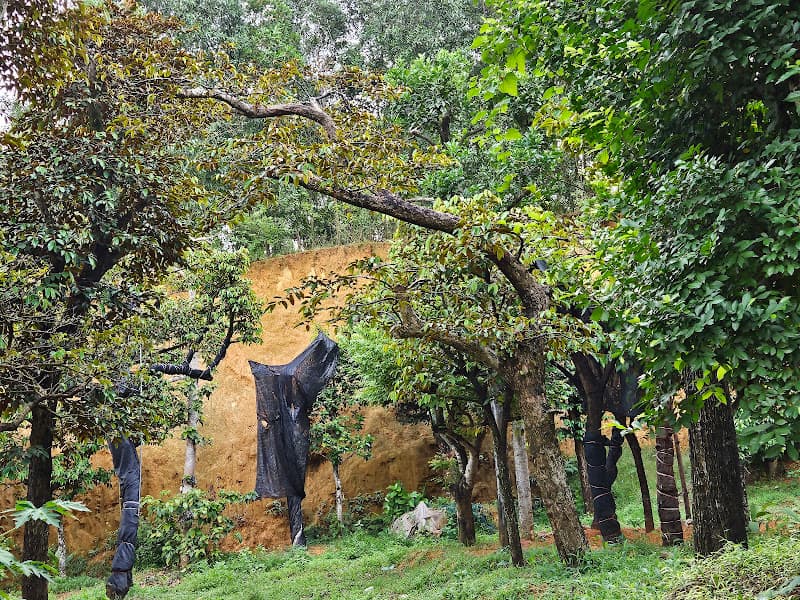 Hình ảnh Khu15 Tiên Phú Phù Ninh Phú Thọ - 4