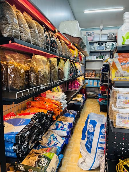 Hình ảnh Moi Petshop Đà Lạt chi nhánh 2 - 5