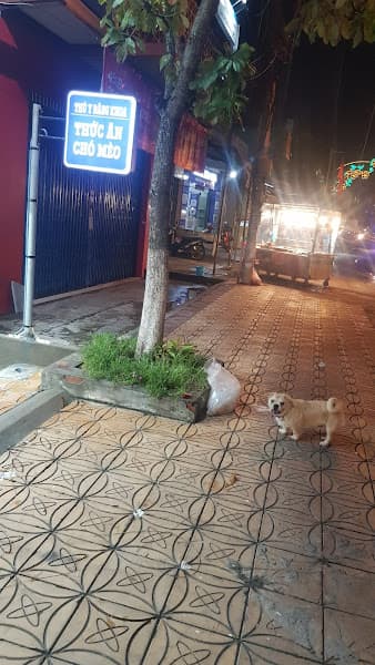 Hình ảnh Thú y Đăng Khoa - 2