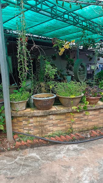 Hình ảnh Karaoke Sáu Phong - 3