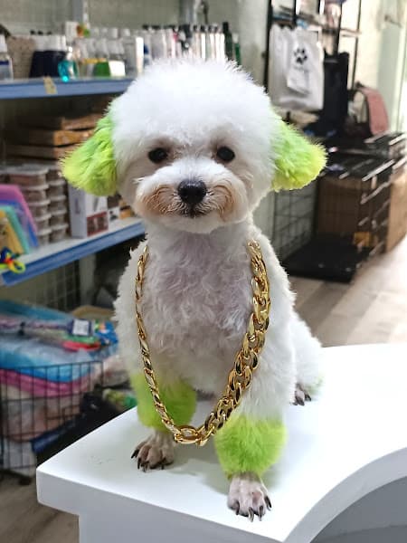 Tinpet cắt tỉa và phụ kiện thú cưng