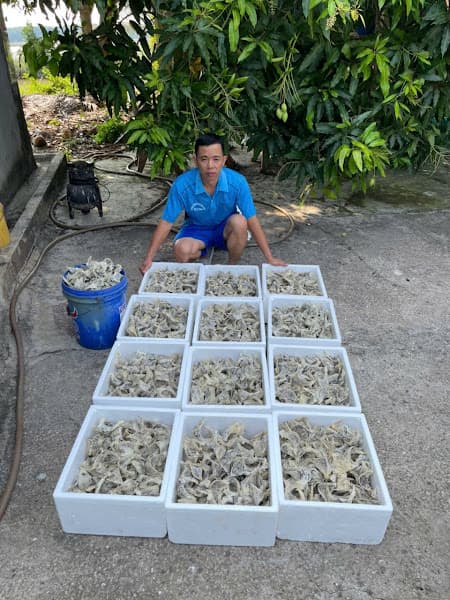 Hình ảnh Yến Sào Sử Dương - 2