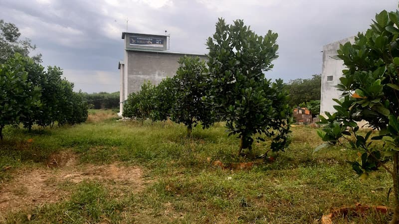 Ảnh bìa Hệ thống trang trại Yến V.Hải Yến phân khu Phú Ngọc - Định Quán (Nhà yến 1-8)