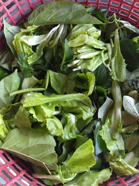 Hình ảnh Bánh xèo Tư Loan - 3