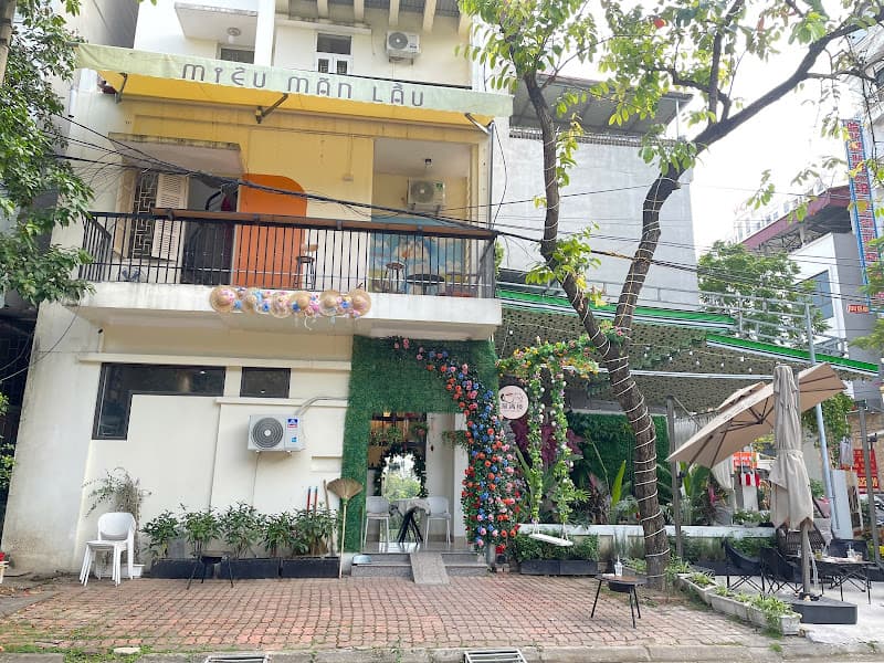 Hình ảnh Miêu Mãn Lầu ( 猫满楼) - 3