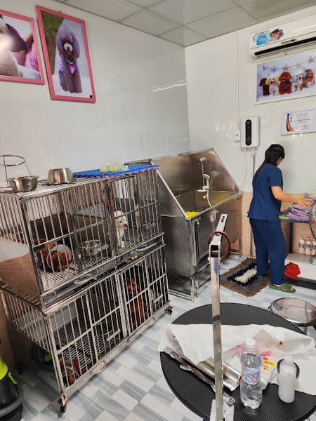 Ảnh bìa Phòng Khám Thú Y Xuân Thạnh