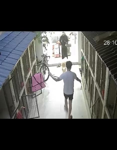 Hình ảnh Tiệm Làm Đẹp Thú Cưng - PewPew - 5