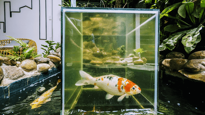 Hình ảnh Ribo Coffee - Quán Cafe Đẹp Đà Nẵng - 5