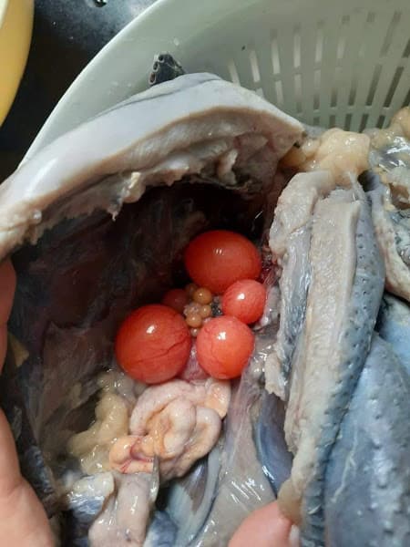 Hình ảnh Quán ăn gia đình NHỰT - TƯƠI - 4