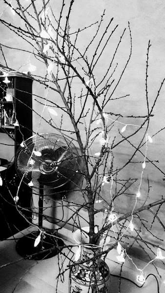 Hình ảnh Quán Karaoke Phương Nam - 2