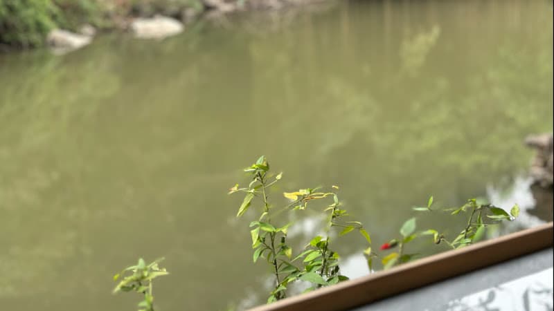 Hình ảnh Garden Food & Drink - 2