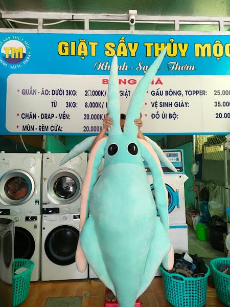 Hình ảnh Giặt Sấy Thủy Mộc - 4