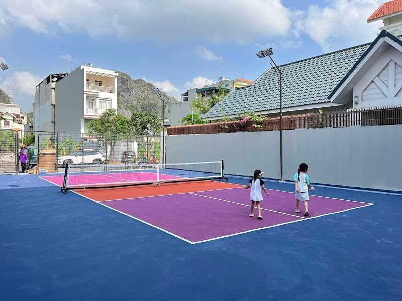 Hình ảnh D3 Pickleball - 3