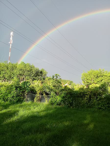 Hình ảnh Di tích Lịch sử Địa đạo An Thới - 4