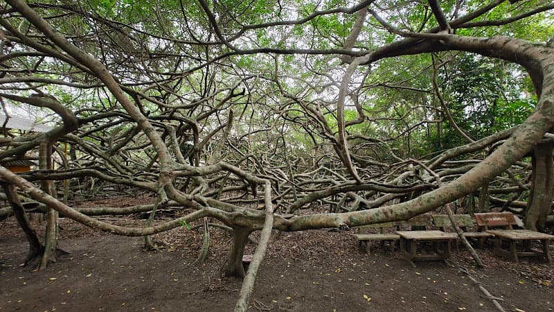 Khu di tích Giàn Gừa