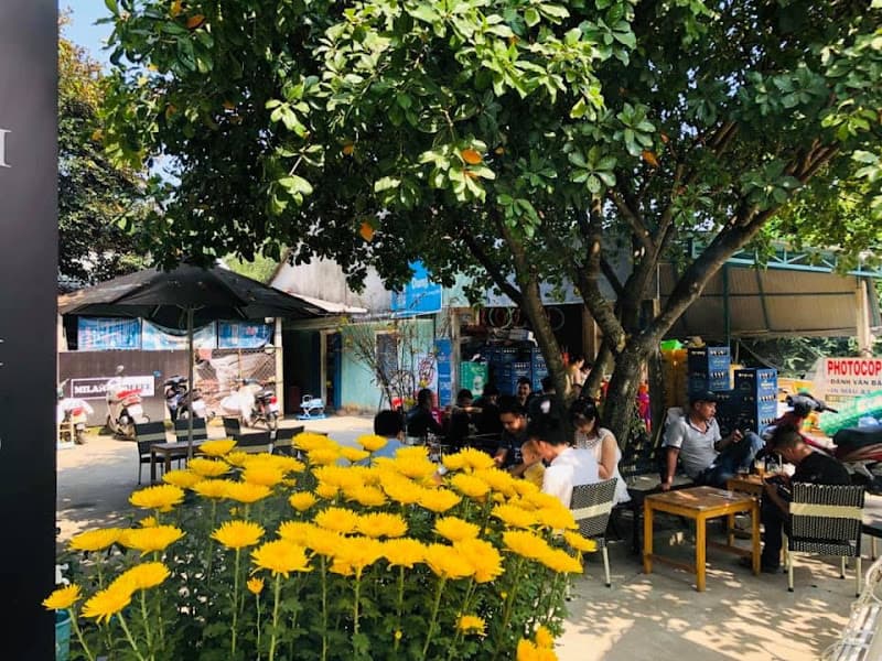 Hình ảnh Coffee Milano Phương Hưng - 5