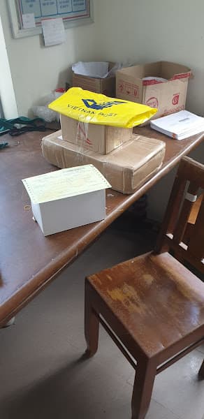 Hình ảnh Thú Y CHÓ MÈO Khu Vực Cam Lâm, Khánh Hòa ( Nhận điều trị tại phòng khám và điều trị tại nhà khách ) - 2