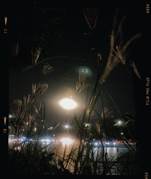 Hình ảnh Đường lê quang đạo - 2