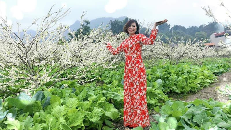 Hình ảnh Quán Lòng lợn - 2